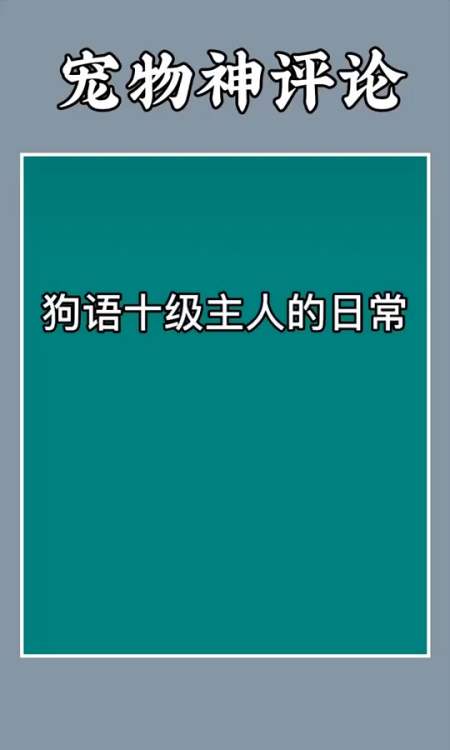 搞笑视频#狗语十级是什么样的!