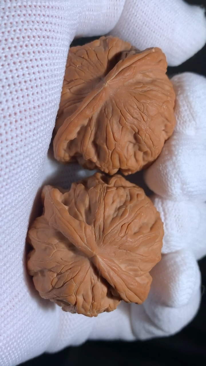 文玩核桃#野生吸金兽狮子头,蜡皮.-度小视