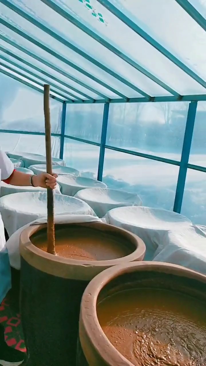 东北特色美食#东北大酱缸