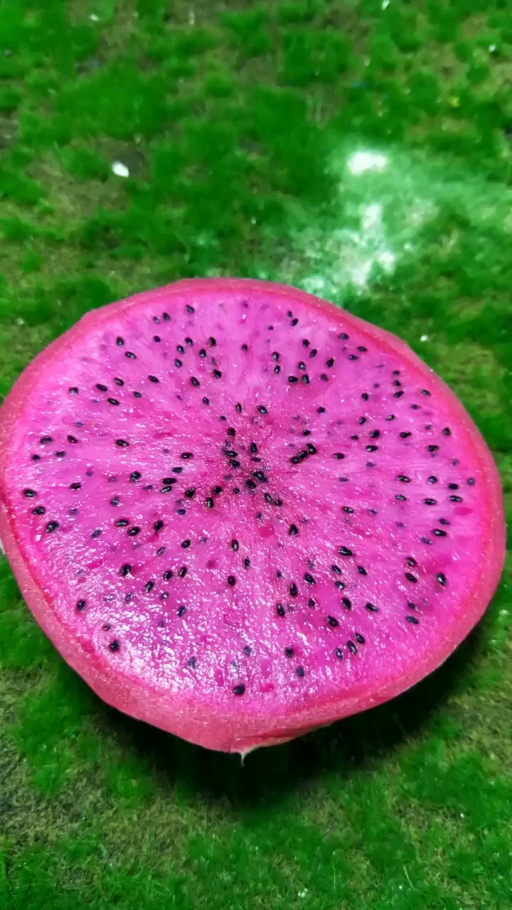 欢喜闹元宵#迷你火龙果果冻,哈哈哈!