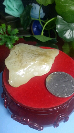 罗布泊地表蛋白原石