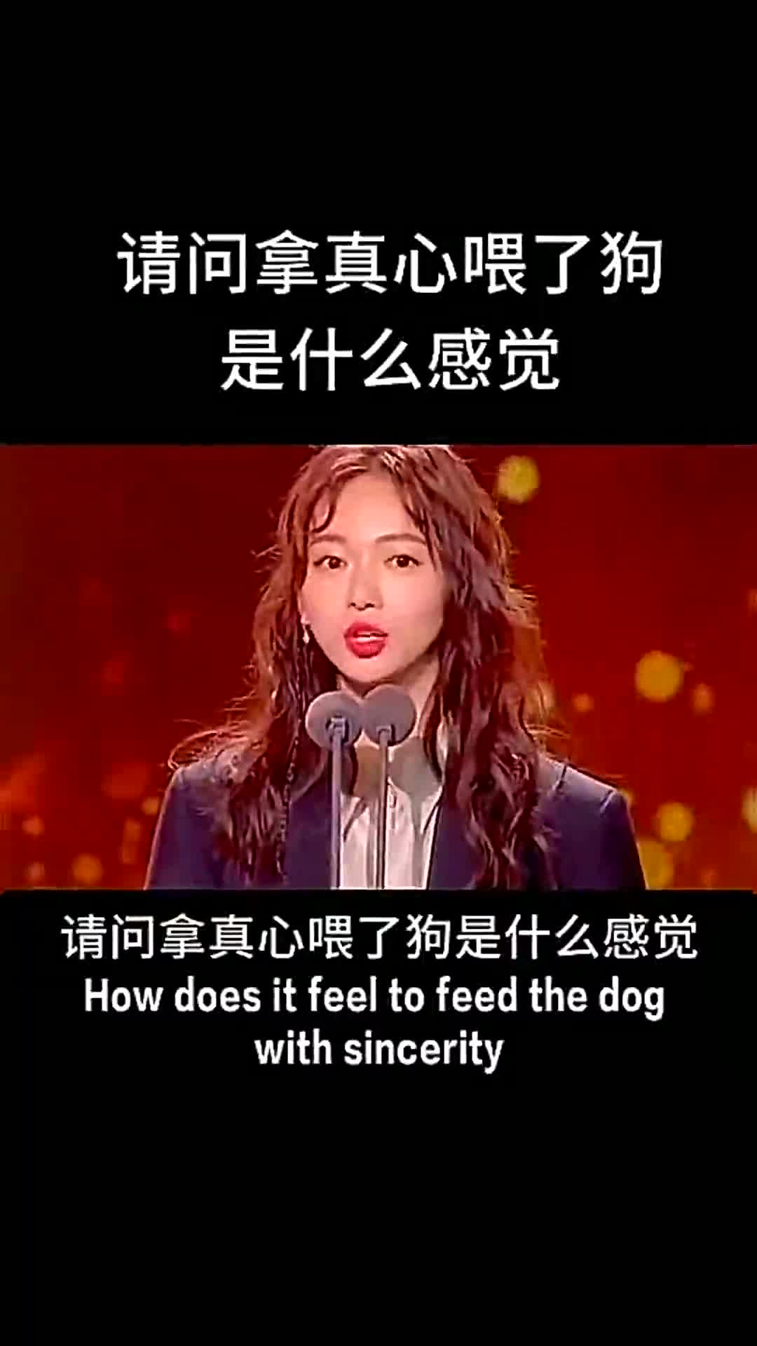 请问拿真心喂了狗是什么感觉?