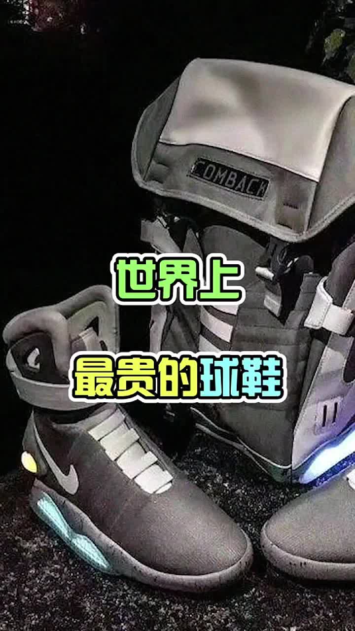 世界上最贵的鞋114亿图片