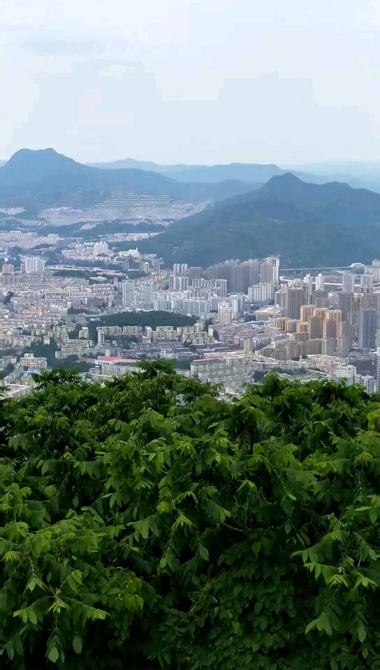 平顶山全景