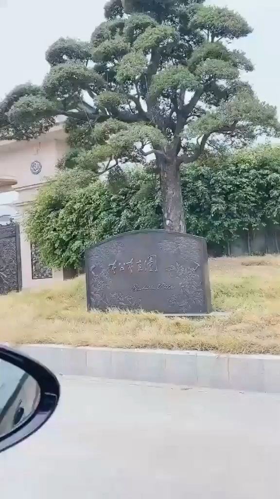 有钱人的世界我不懂#途径曹德旺最奢华的别墅,十分豪华,占地四亩