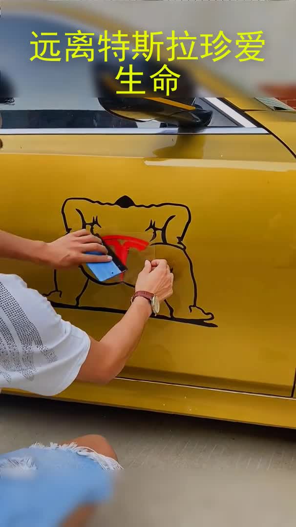 原来特斯拉车标的灵感来源于此.