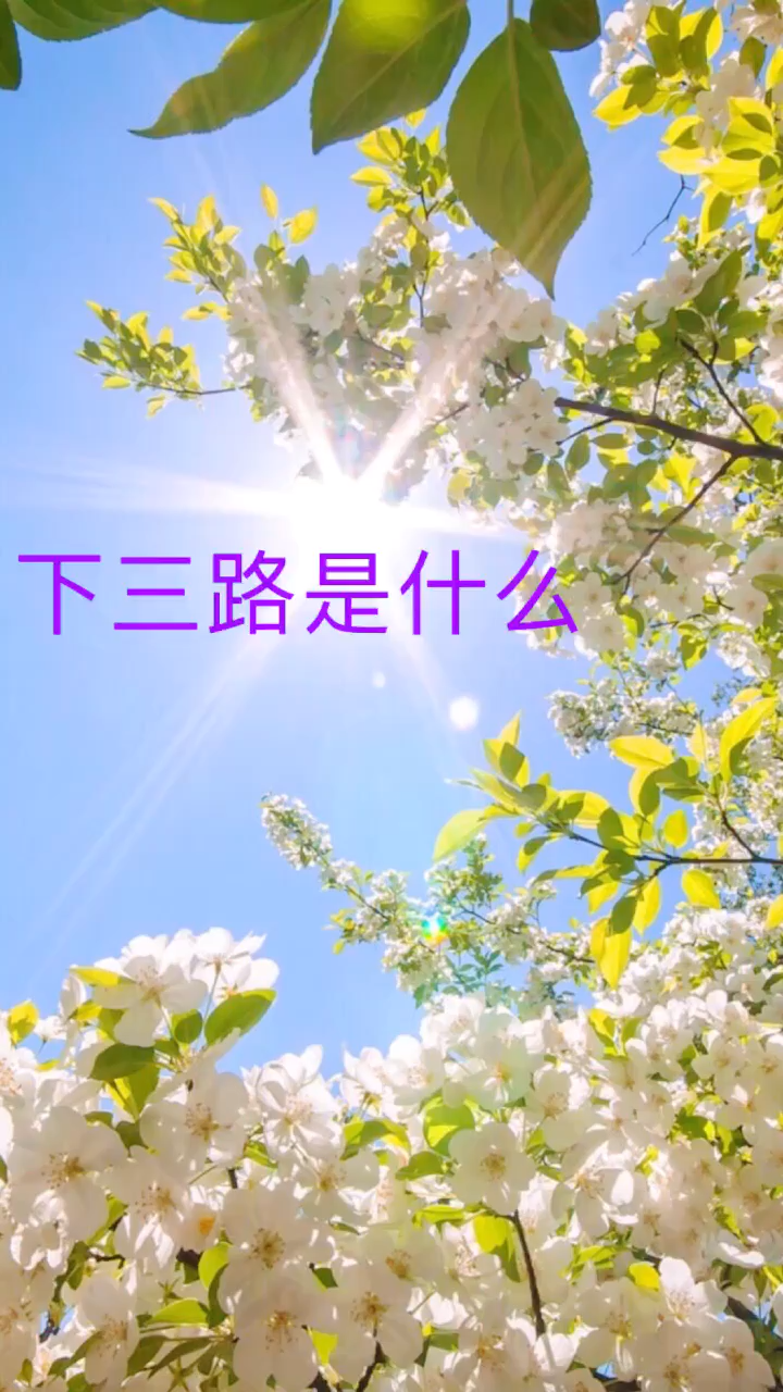 让我来告诉你下三路是指什么.