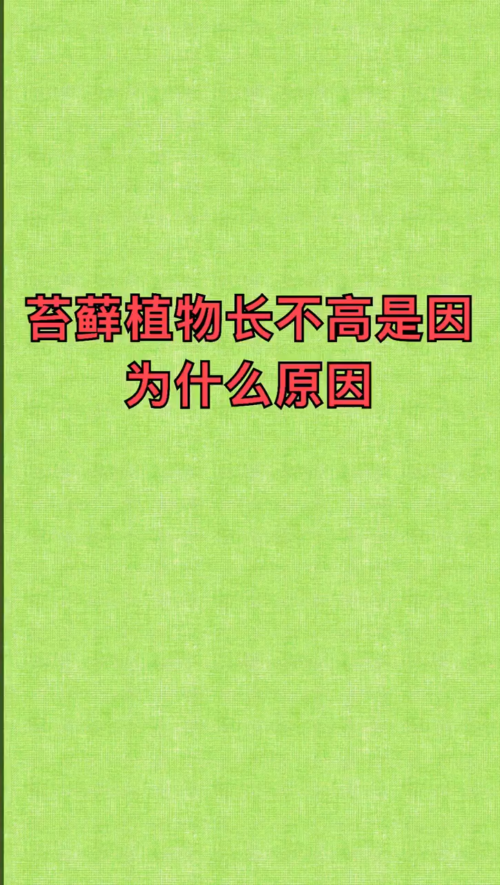 我来告诉你苔藓植物长不高是因为什么原因