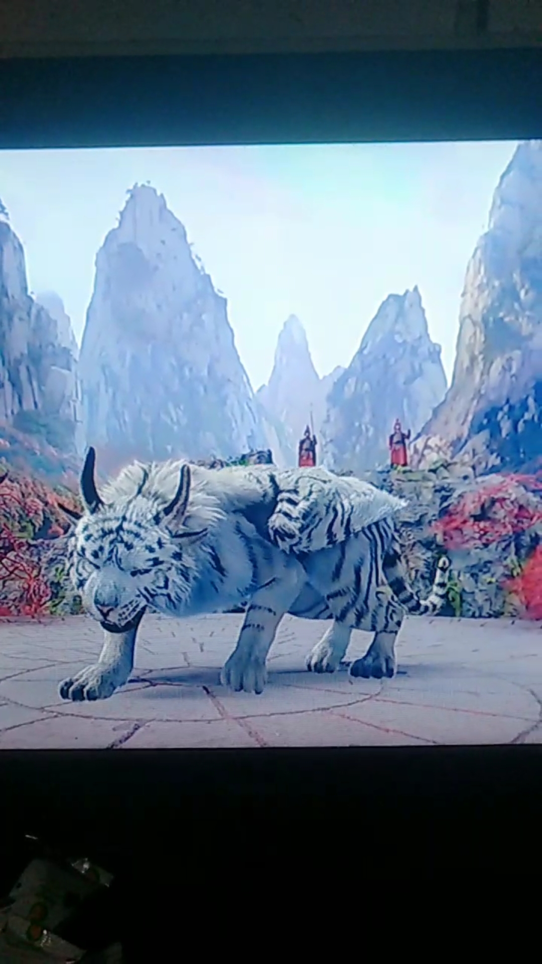 会飞的老虎好厉害啊!