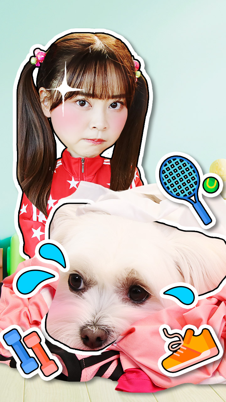 【萌宠日记】coco不想运动躲起来了!小伶能否找到它呢?