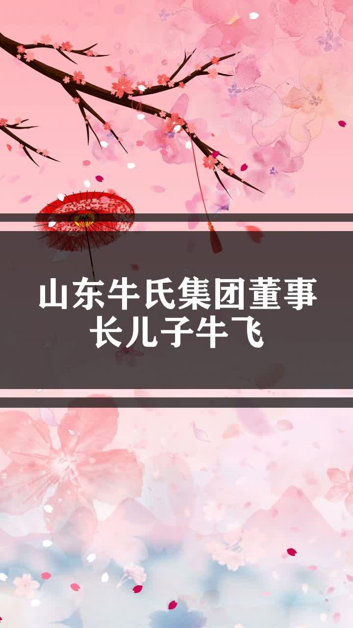 山东牛氏集团董事长儿子牛飞