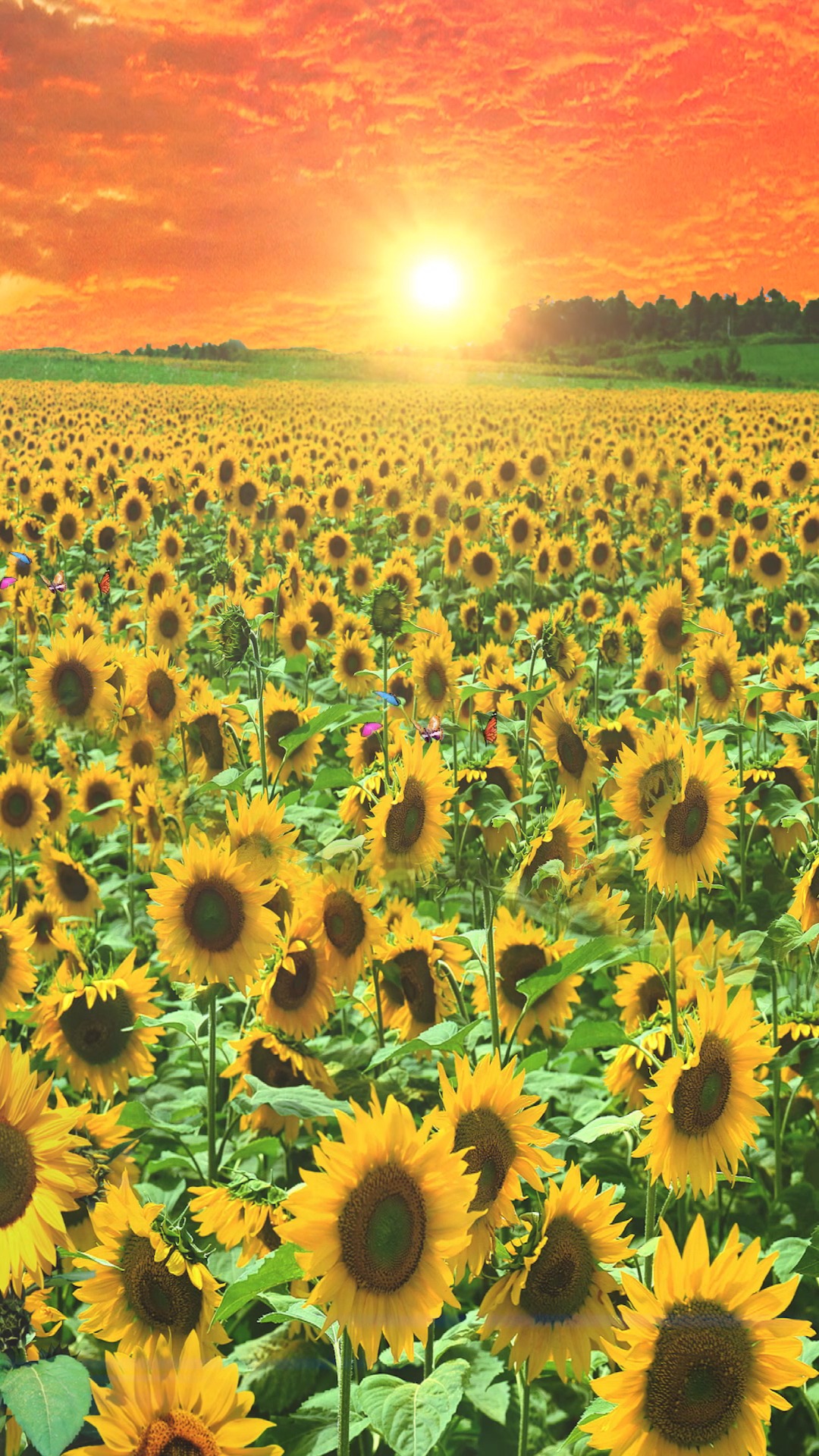 最美的风景#想开点看淡点,也就不痛不痒了,对自己好一点.