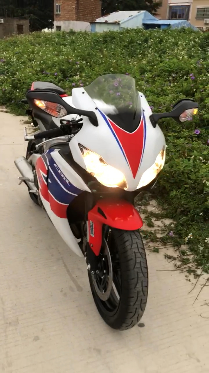 鹦鹉cbr1000 abs