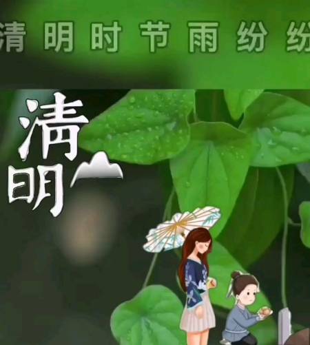 清明时节雨纷纷,有人说那是思念亲人的泪水,也许那是逝去的亲人,对