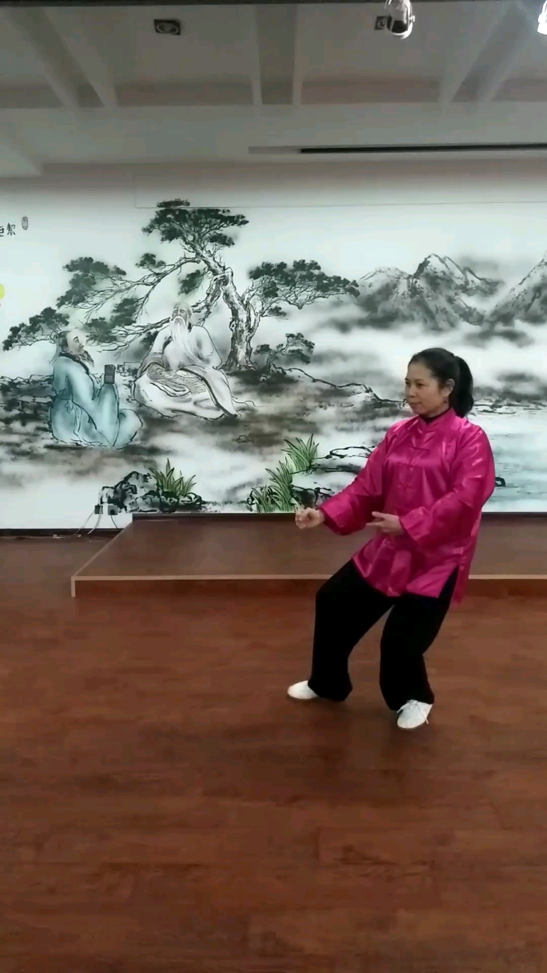 太极拳……进步搬拦捶