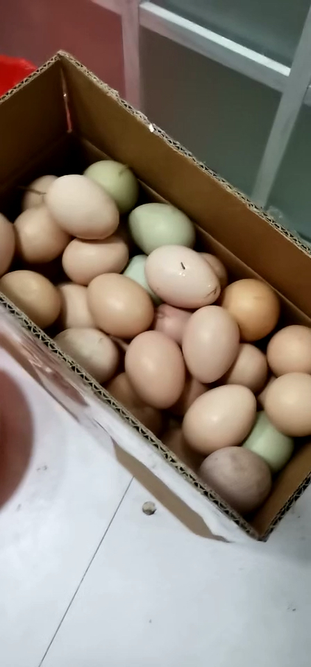 土鸡蛋骑车去集市卖,100个碎7个,损耗大,钱难赚