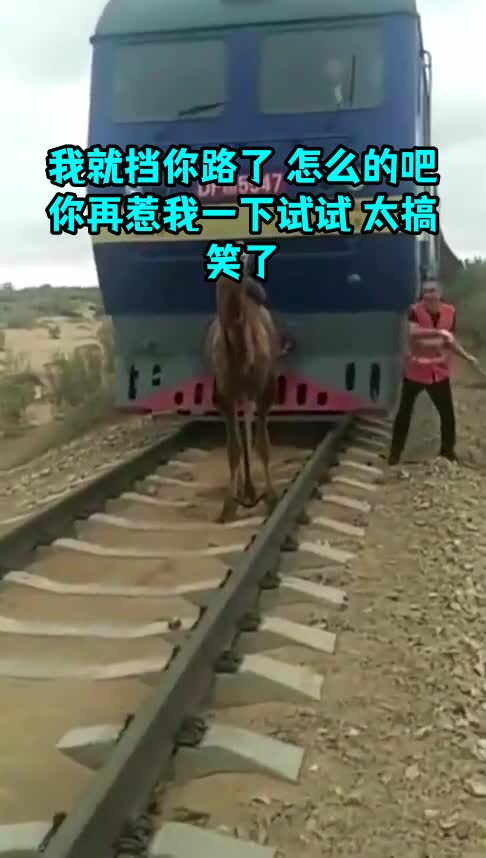 我就挡你路了怎么的吧你再惹我一下试试太搞笑了