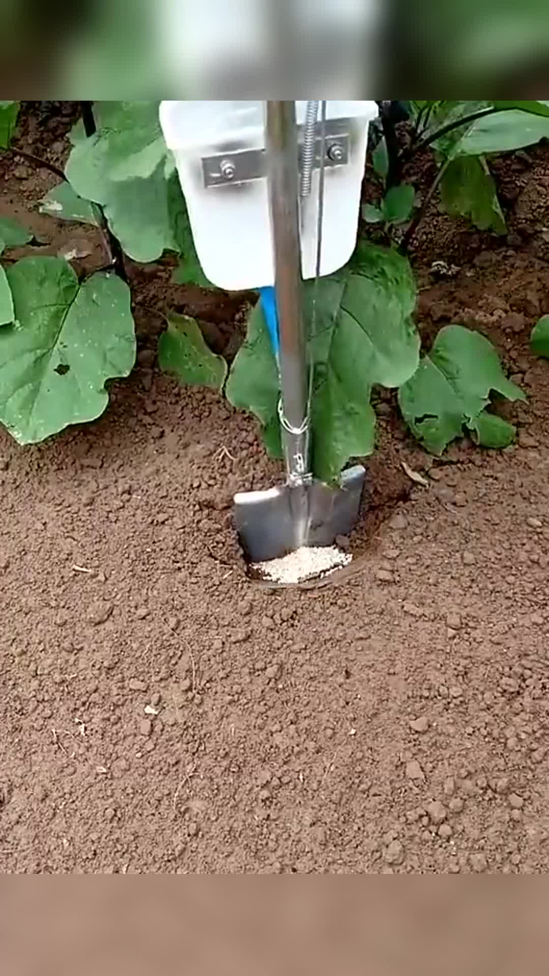 我要上热门#自制的施肥器,看起来还挺实用,肥料一点也不浪费了!