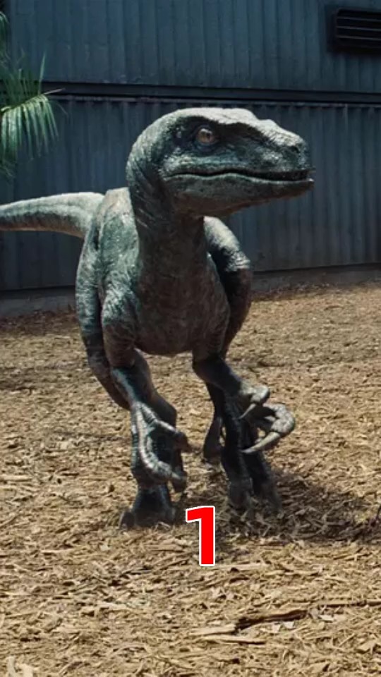 比霸王龙还强,比人还聪明的暴虐龙,引发恐龙大混战.