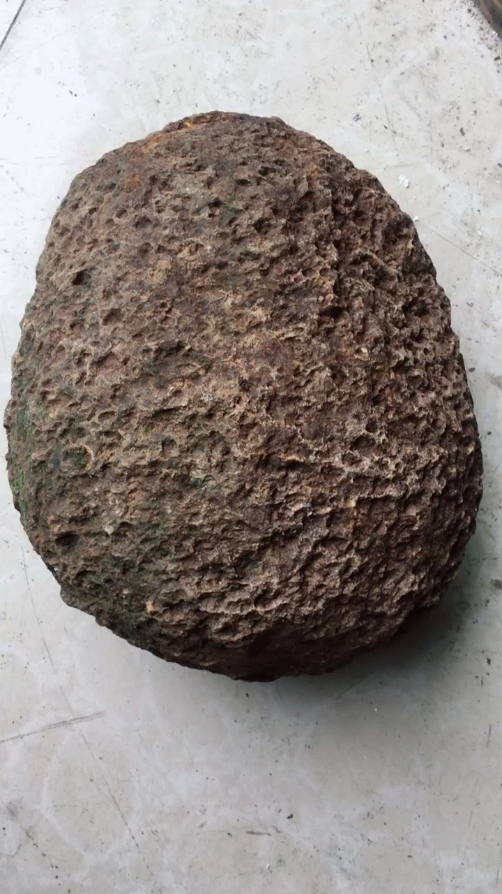 球粒陨石13斤6两!弱磁局部中强磁!