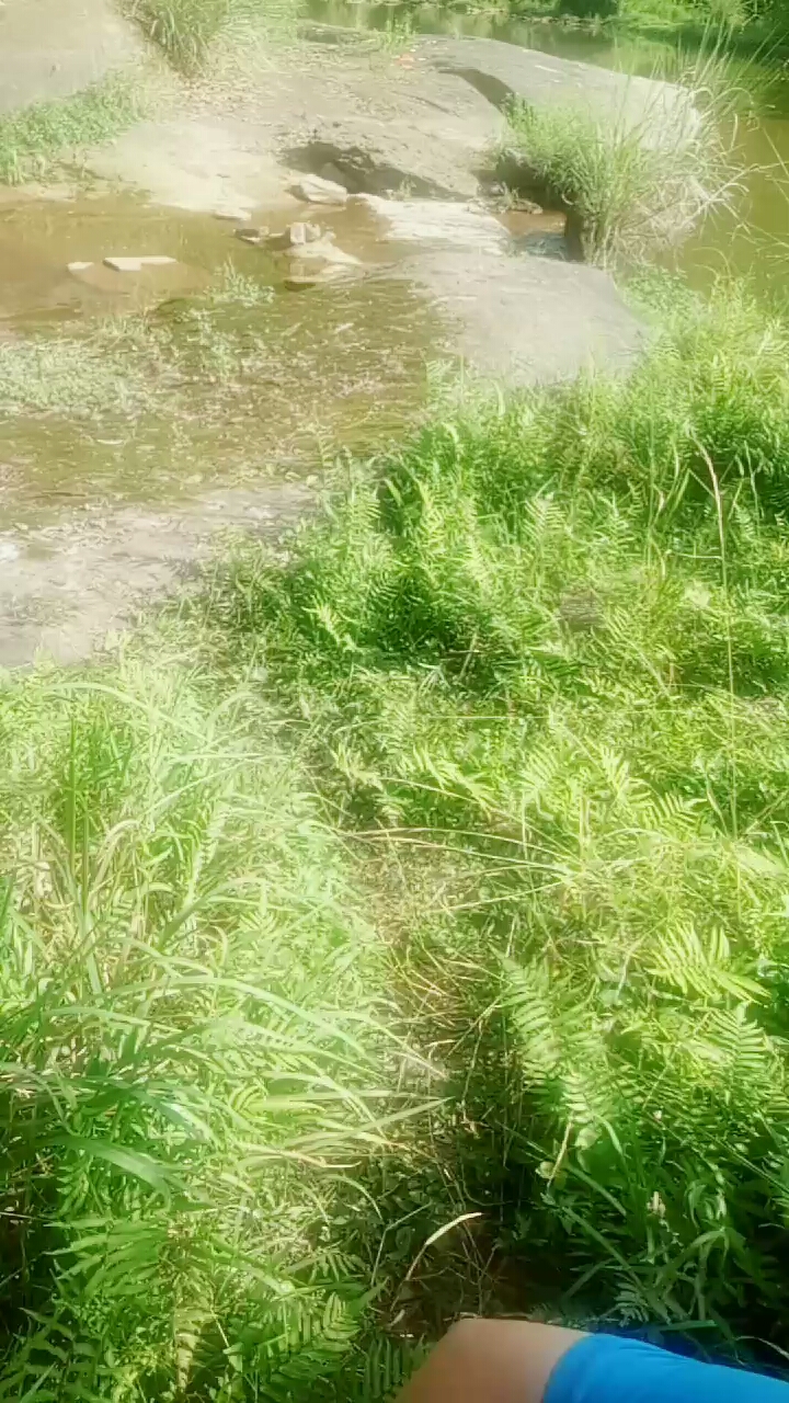 鸟不拉屎的地方