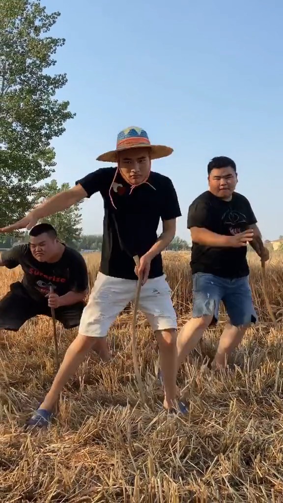 呼叫全网河南老表 回家收麦.