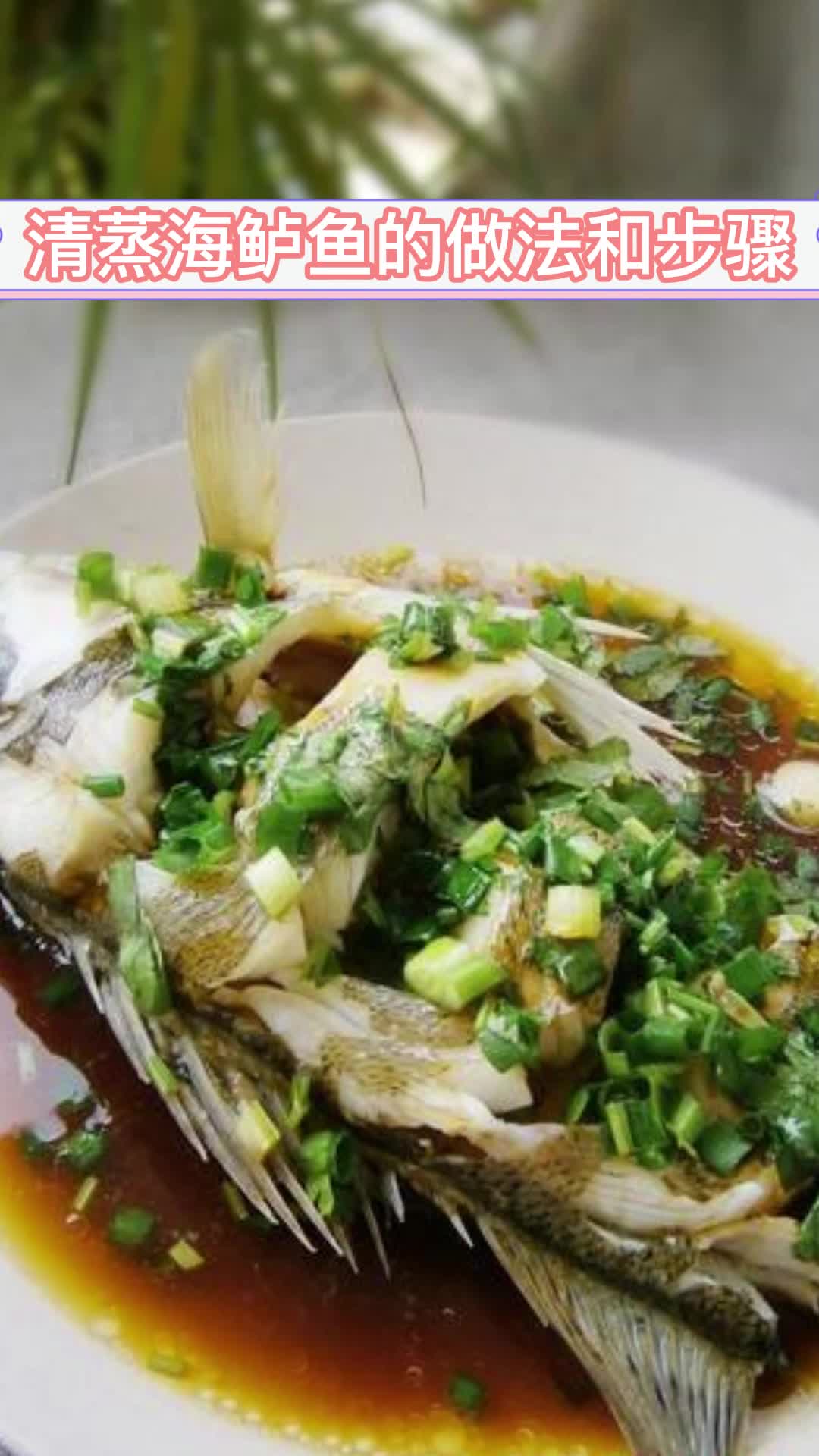 清蒸海鲈鱼的做法和步骤你知道了吗