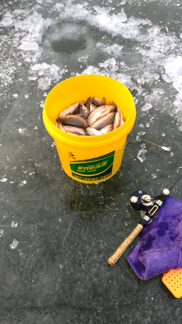 青龙湾三百户冰钓鱼货