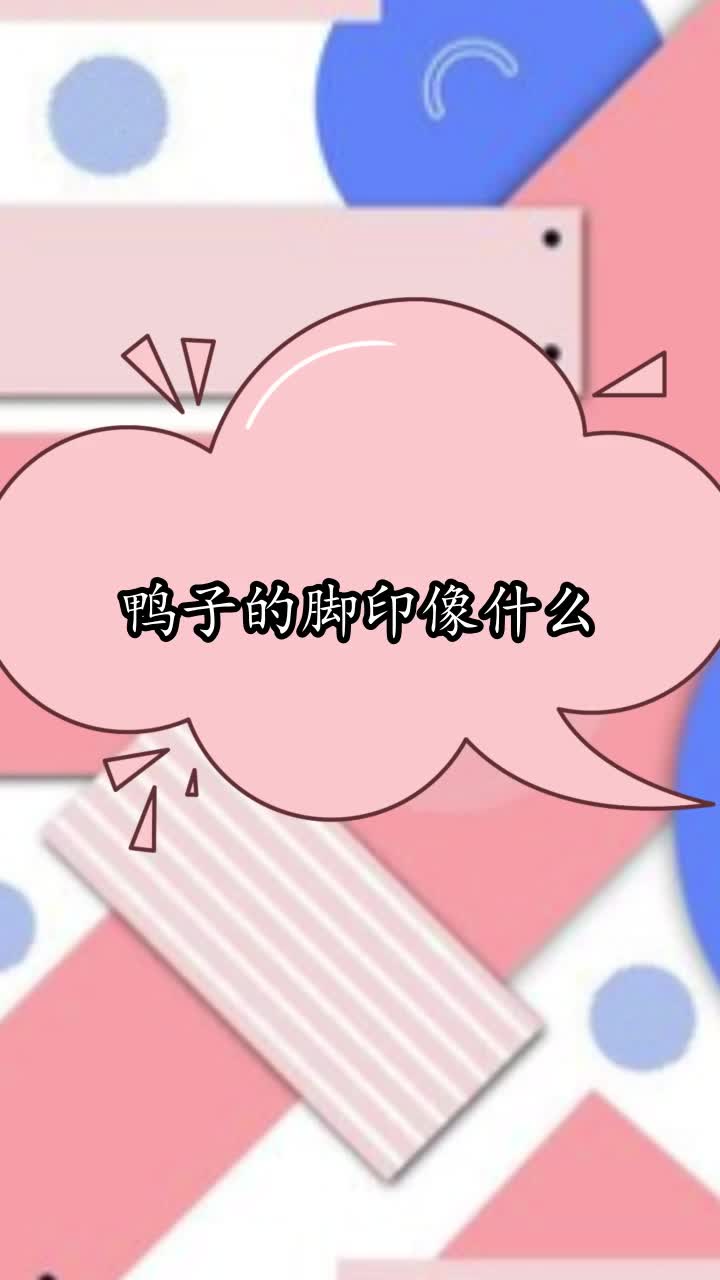鸭子的脚印像什么,你清楚了吗