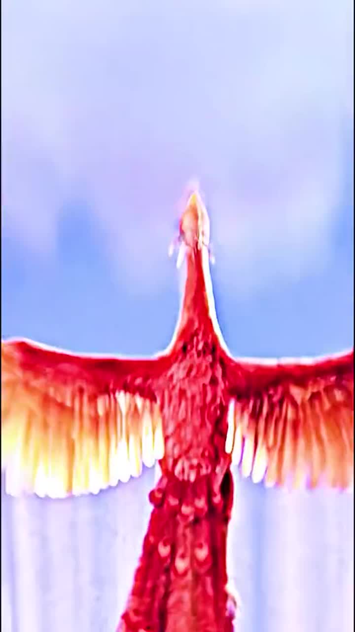 凤凰不死鸟朱雀青鸾你们更喜欢哪个白蛇2青蛇劫起青蛇劫起画风绝了