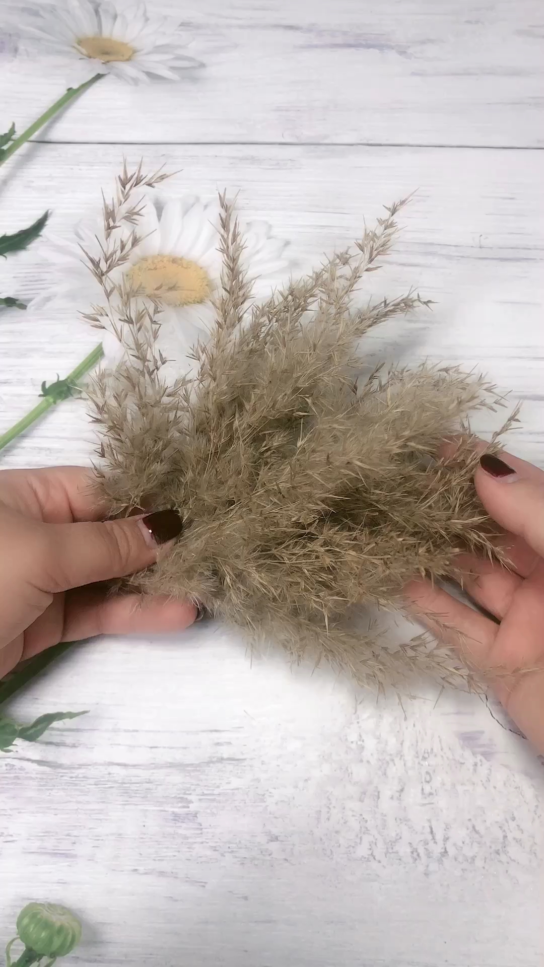 创意手工diy#这撮芦苇能干嘛呢?