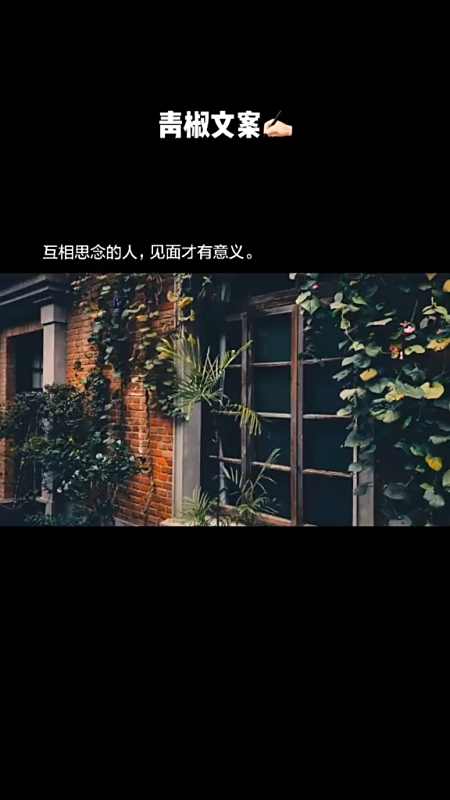 文案互相思念的人见面才有意义