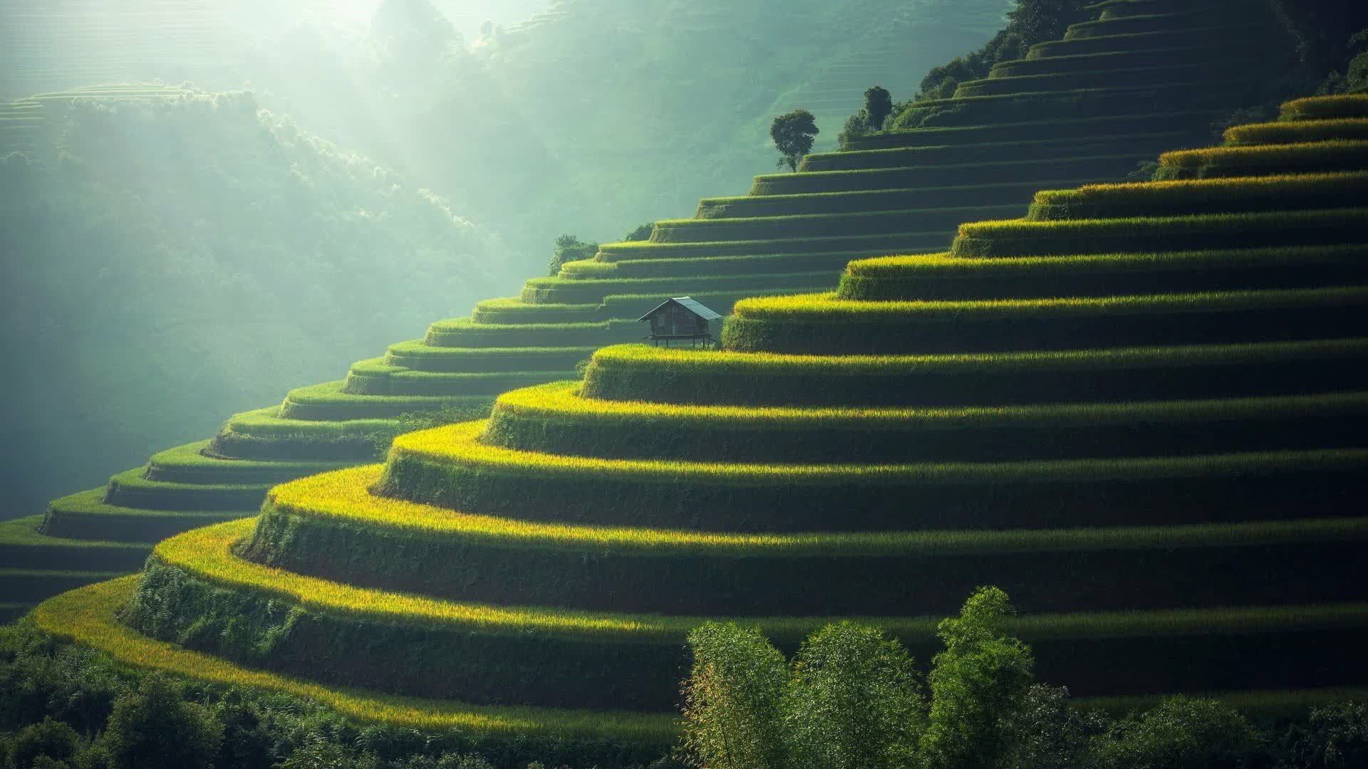 甩掉折磨已久的包袱,赶上快乐好心情的巴士,给心灵也沐浴阳光!