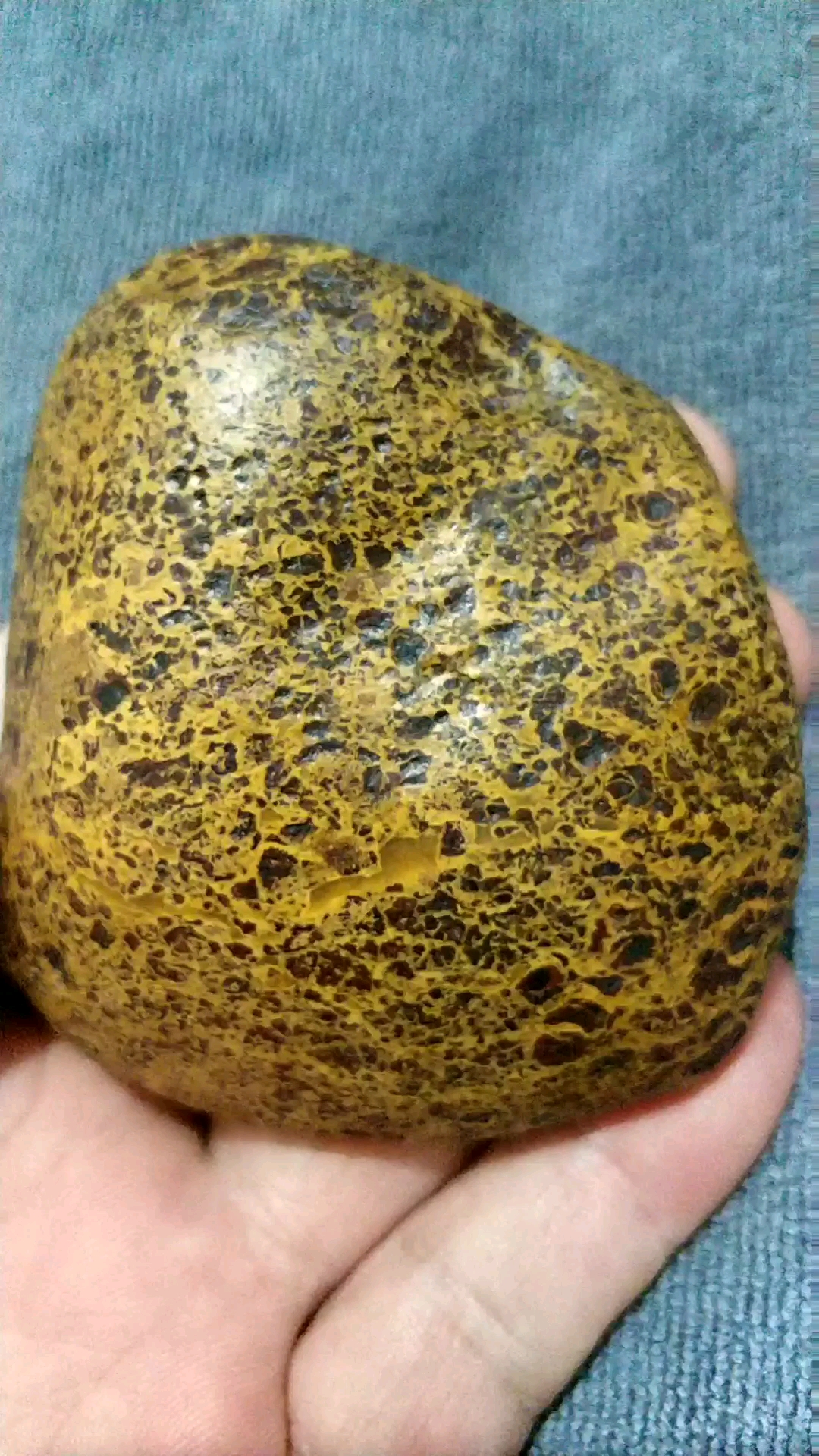 有一种石头叫天宝