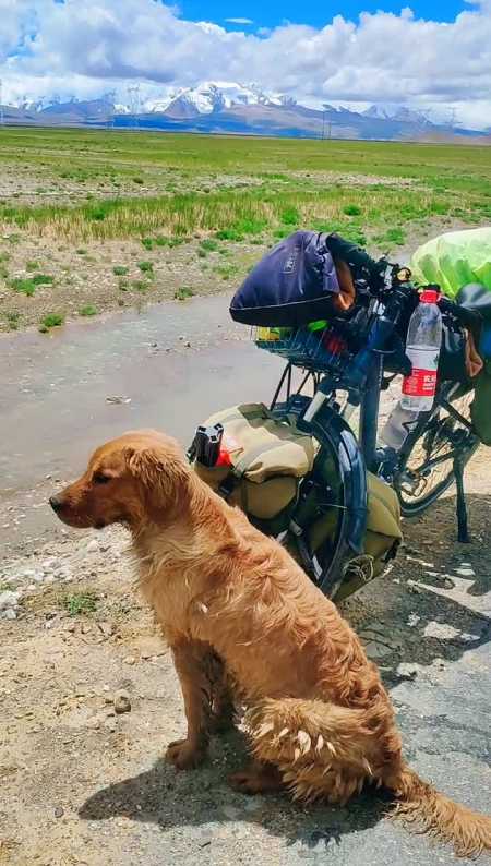 一人一狗一车一世界,仗剑走天涯.看蓝天白云,雪山绿草.