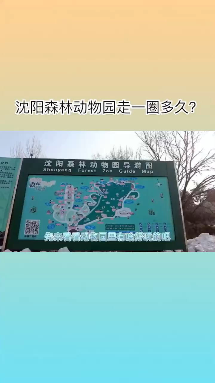 冬日里的沈阳森林动物园怎么样呢?走一圈需要多久?