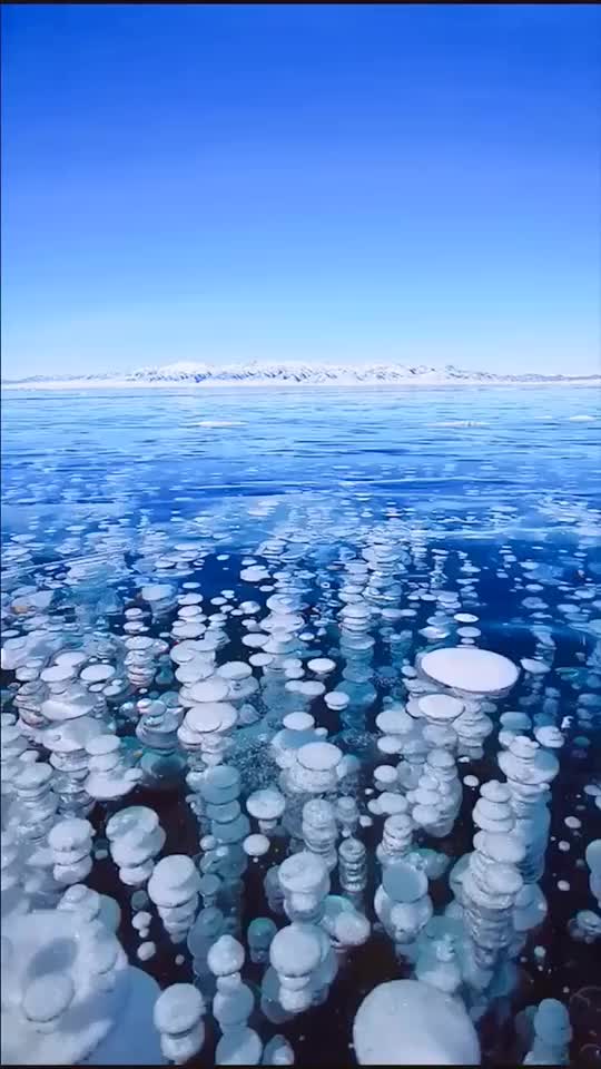 赛里木湖冰泡已大面积形成,比去年壮观!