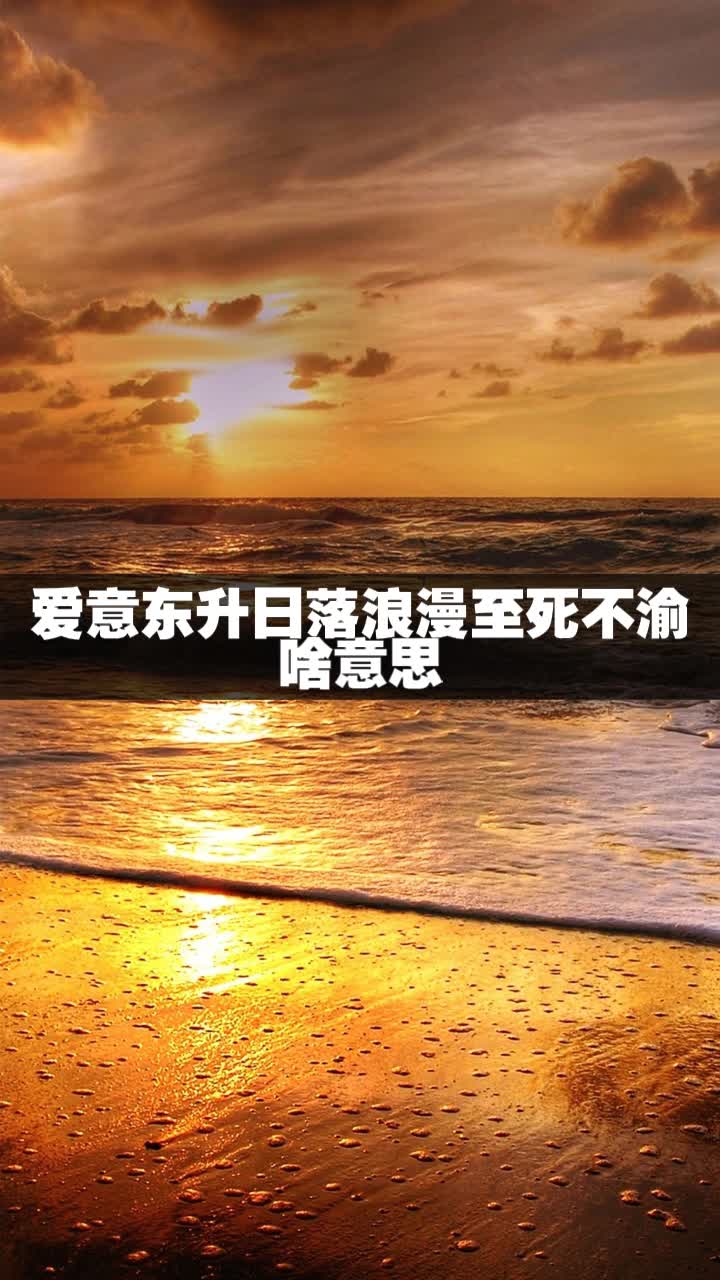 爱意东升日落浪漫至死不渝啥意思