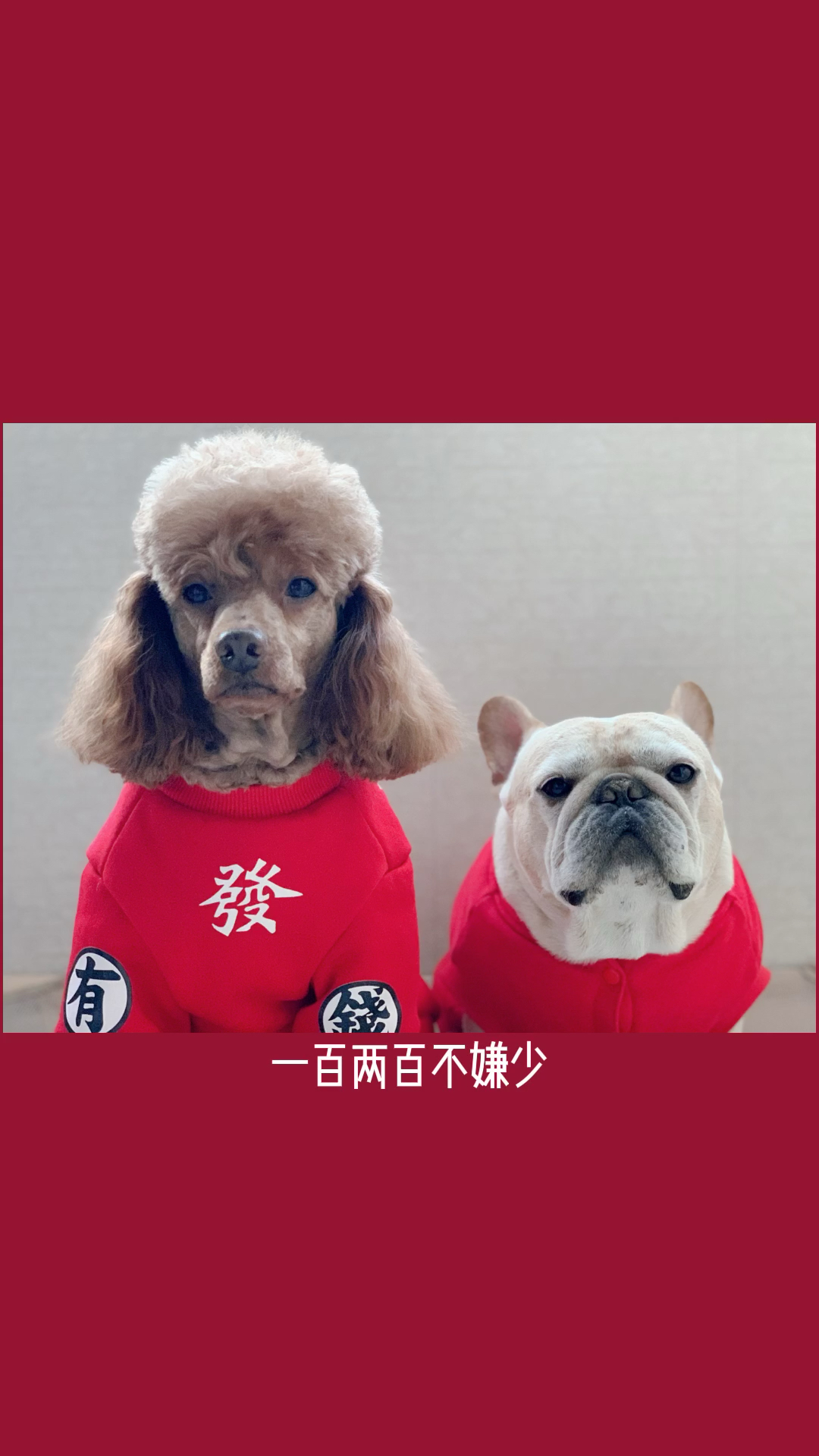 新年快乐