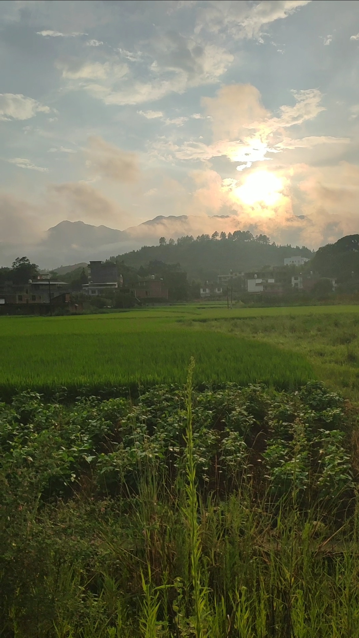 乡村生活#夕阳西下,云雾