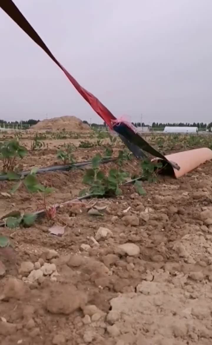 农村牛人自制打药神器,有知道什么效果的吗