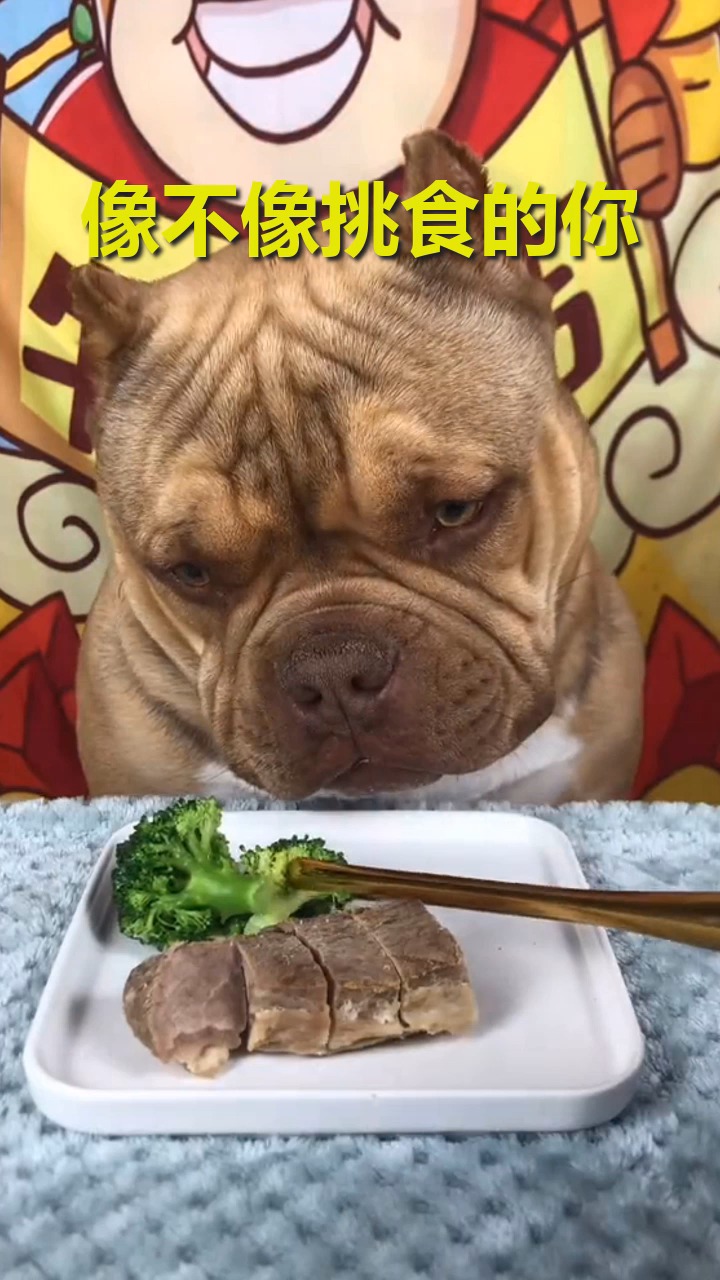 搞笑视频#赶紧带走吧 要不然晚上狗肉火锅