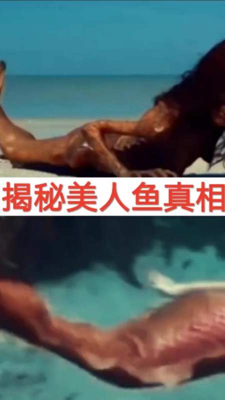 奇闻趣事抢先看#揭秘美人鱼真相