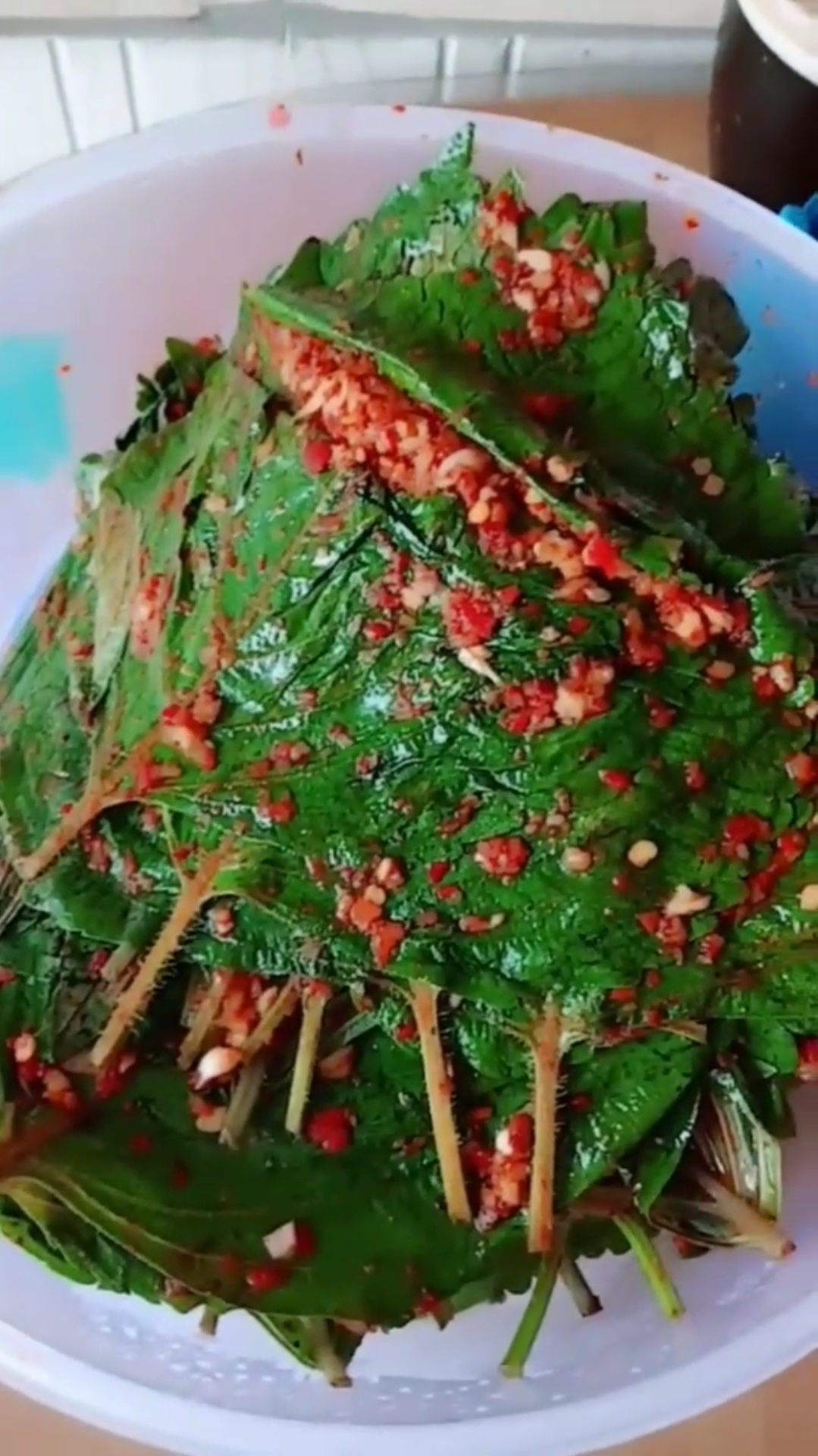 国货也很潮#用树叶子腌个小咸菜,贼啦下饭.