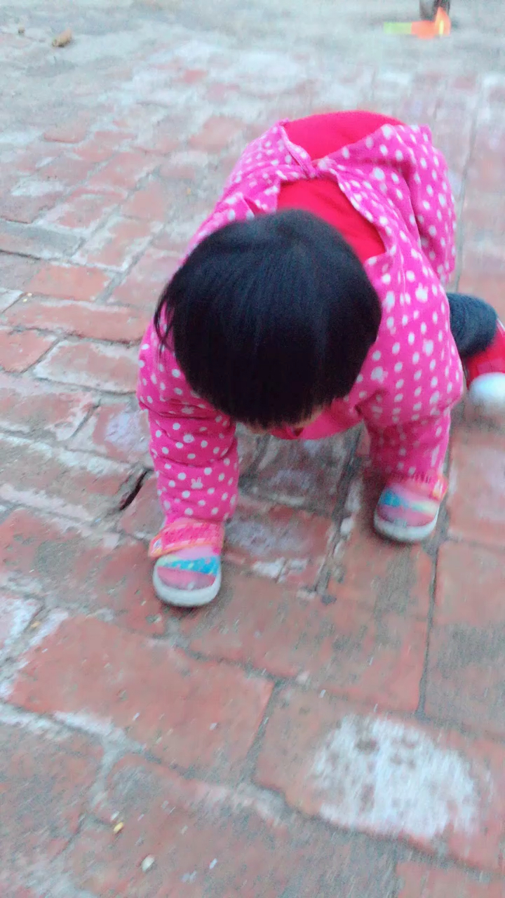 四只脚的小女孩