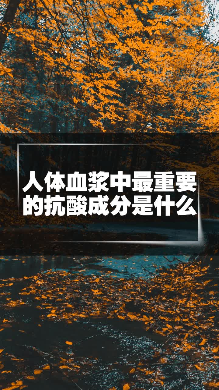 人体血浆中最重要的抗酸成分是什么