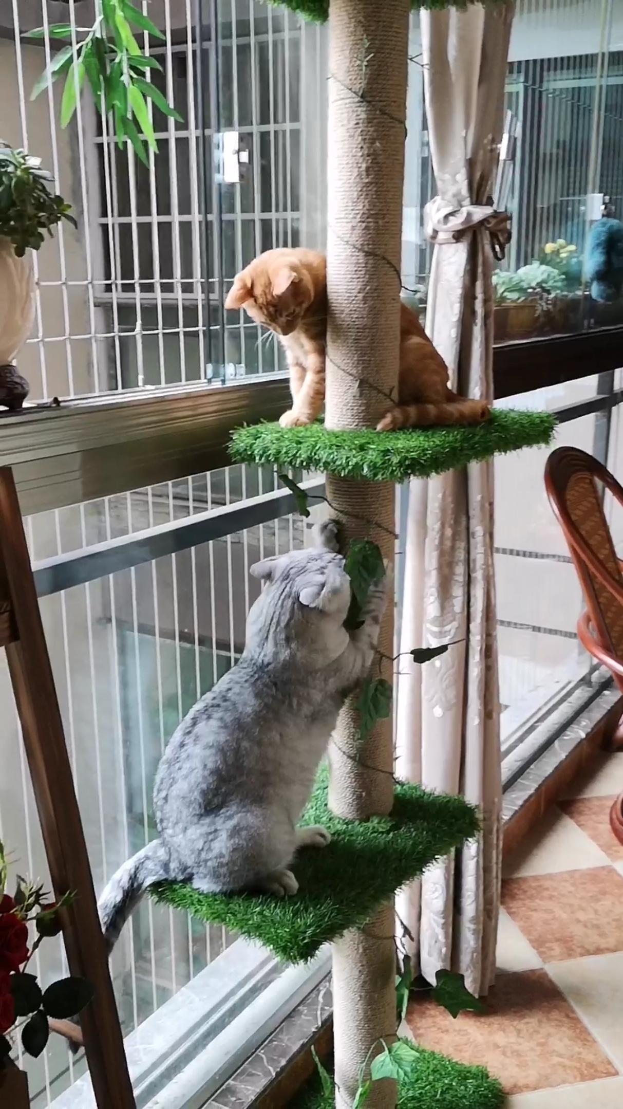 今儿不知咋的,钢蛋老是躲着不跟铁蛋玩儿