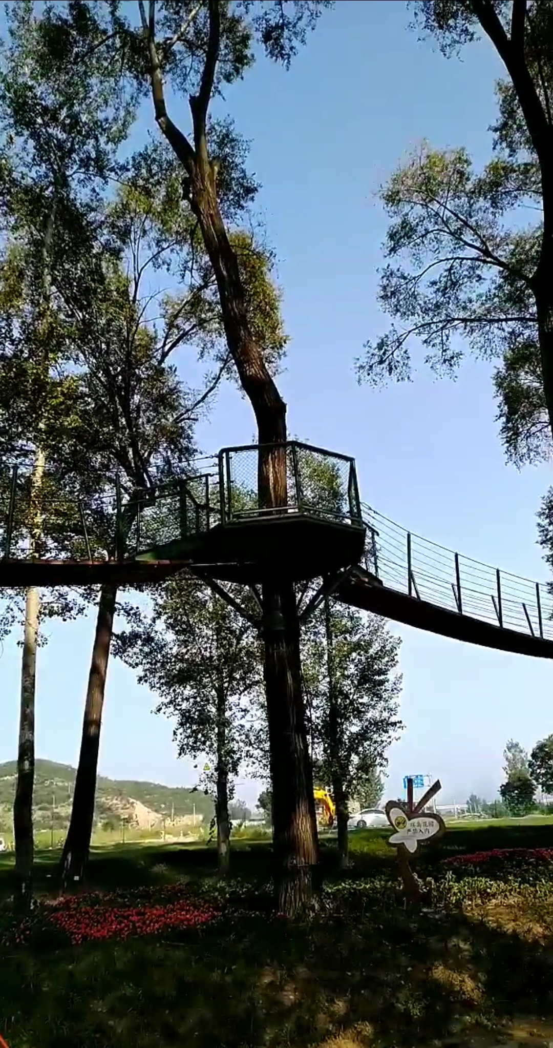 国内唯一树桥公园