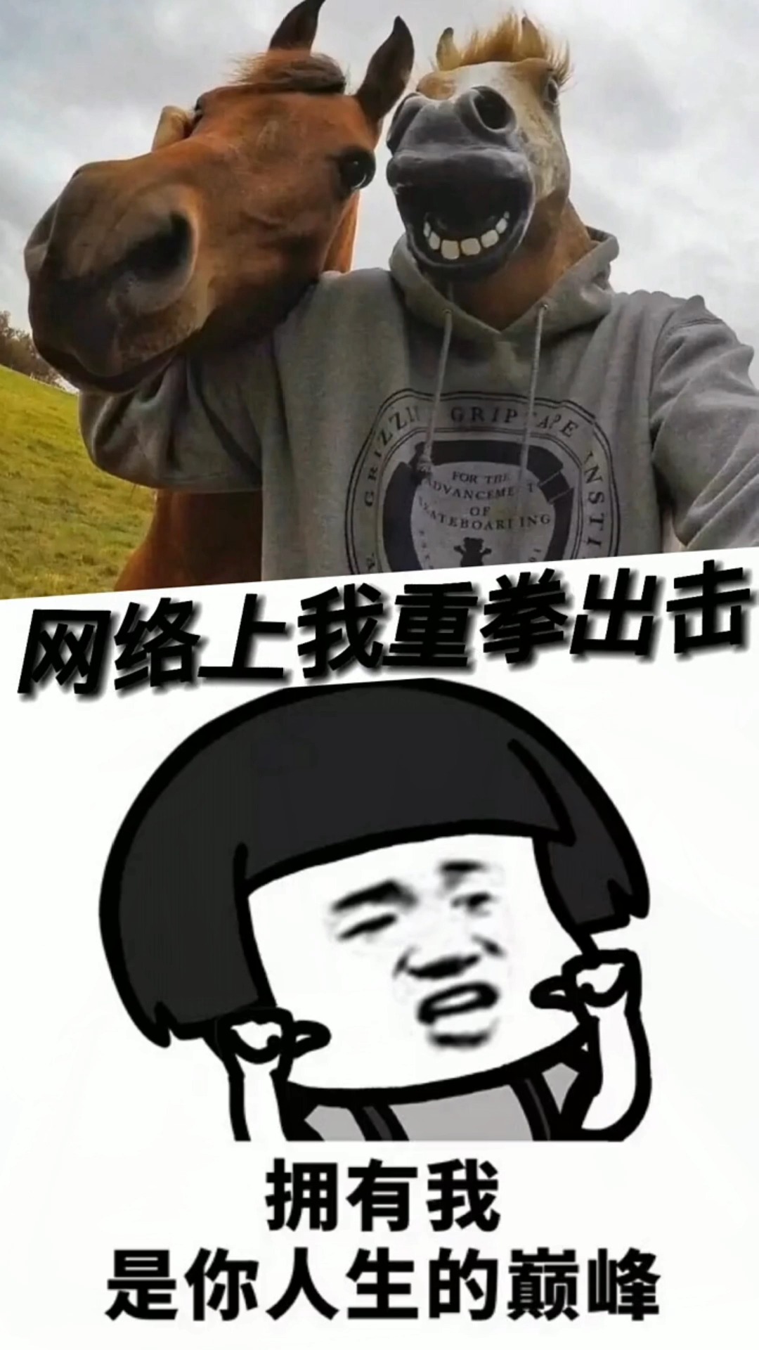 搞笑萌宠小水牛的牛马语录