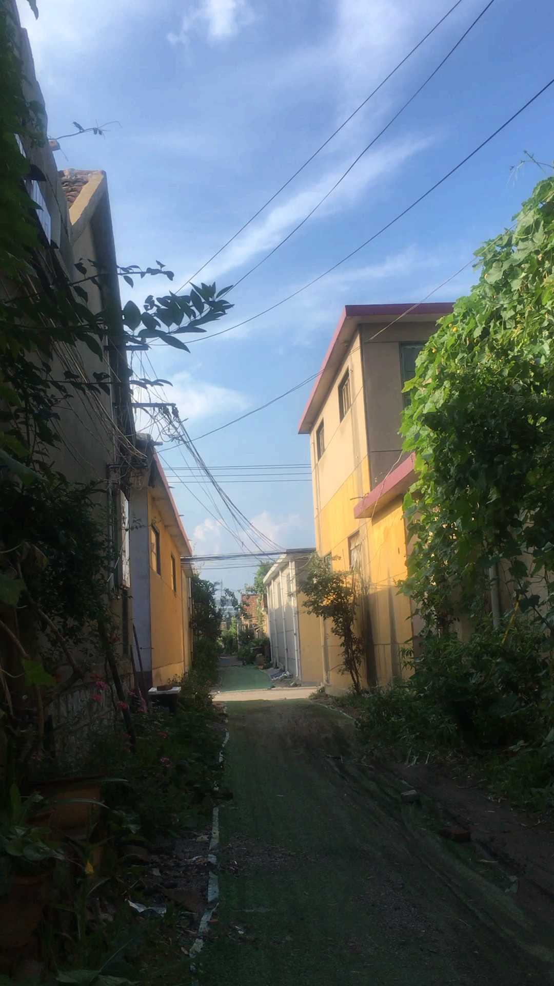 乡村生活#我们乡村的小街道